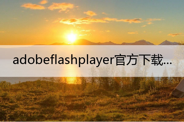 adobeflashplayer官方下载_adobeflash player下载
