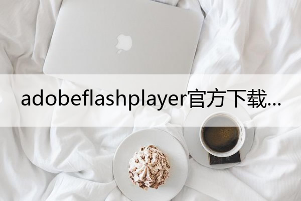 adobeflashplayer官方下载,adobeflash player官方下载最新
