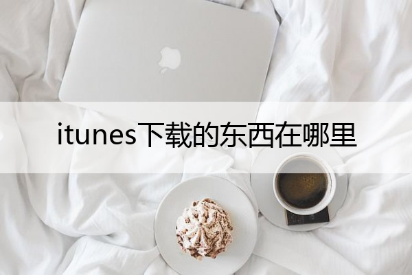 itunes下载的东西在哪里(itunes下载的app在哪)
