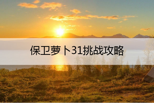 保卫萝卜31挑战攻略_保卫萝卜挑战攻略14
