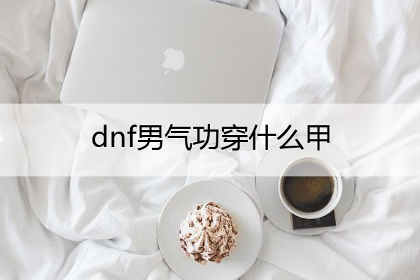 dnf男气功穿什么甲_dnf男气功装扮属性选择
