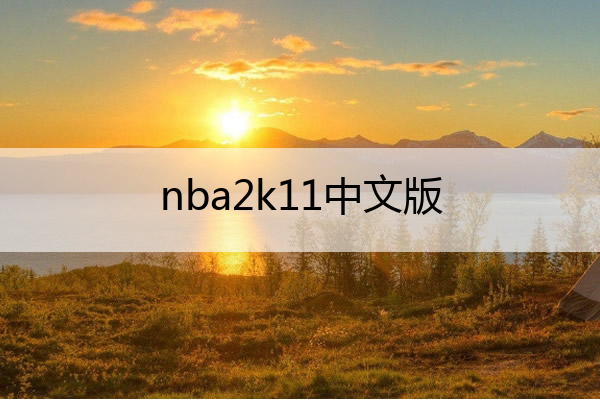 nba2k11中文版_nba2k11中文版下载安装
