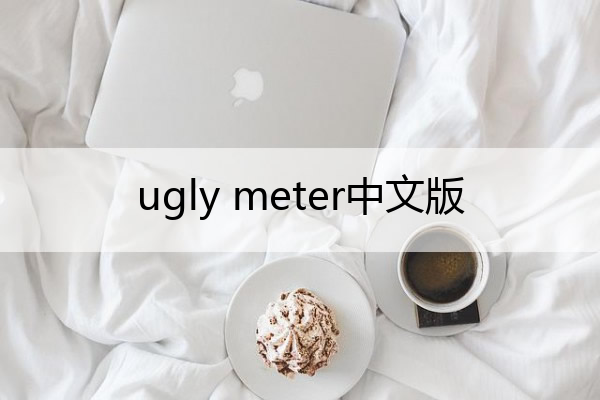 ugly meter中文版,ugly歌曲中文翻译
