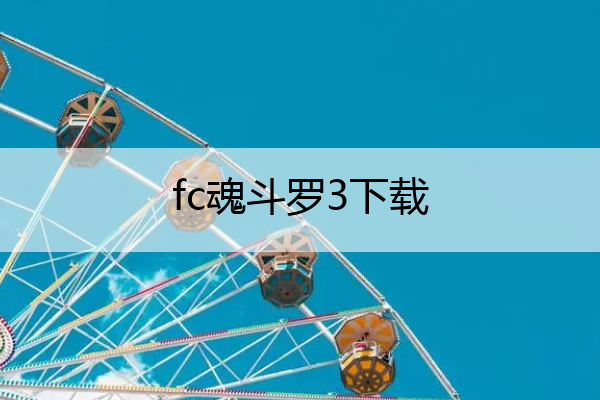 fc魂斗罗3下载(苏州展腾包装)
