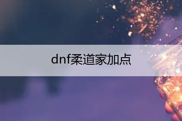 dnf柔道家加点_dnf柔道家技能视频
