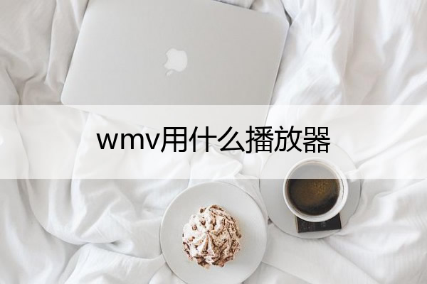 wmv用什么播放器 wmv格式的视频用什么软件