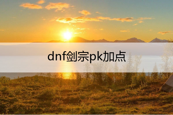 dnf剑宗pk加点(dnf剑宗pk教学)
