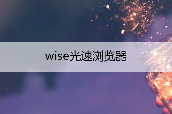 wise光速浏览器(光侠浏览器中文版下载)
