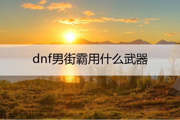 dnf男街霸用什么武器_dnf男街霸要一直放挑衅吗
