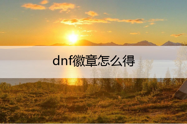 dnf徽章怎么得(dnf徽章怎么来)
