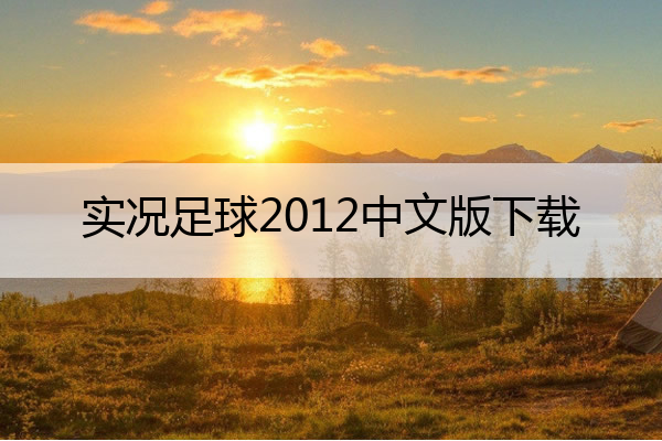 实况足球2012中文版下载,实况足球2012安卓中文版直装版
