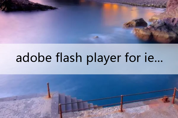 adobe flash player for ie_Adobe flash player for ie离线安装版
