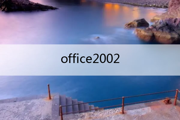 office2002(office20022)
