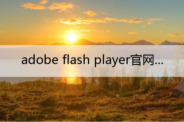 adobe flash player官网_adobe flash player官网下载
