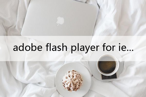 adobe flash player for ie